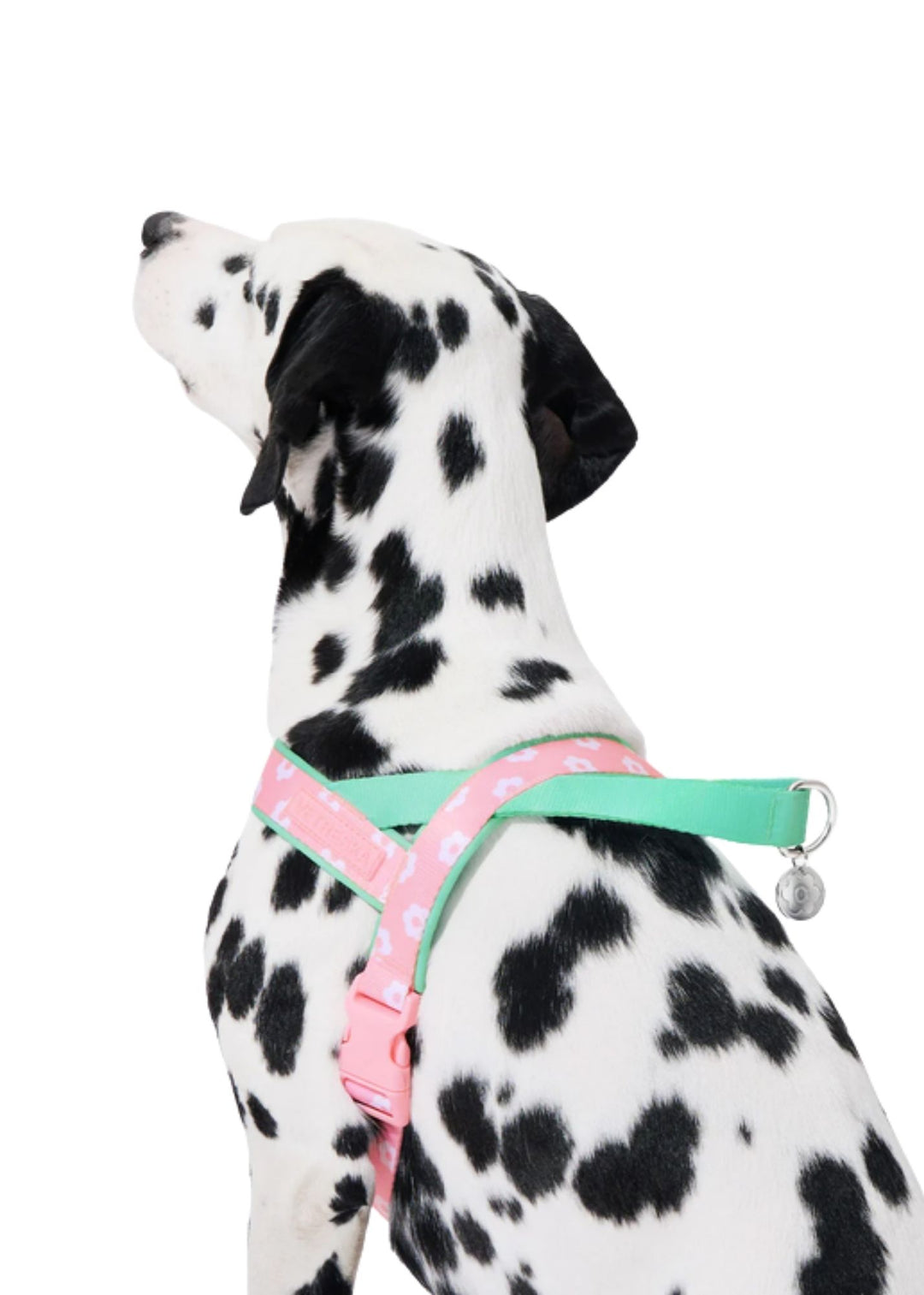 Flora Harness &amp; Leash Set