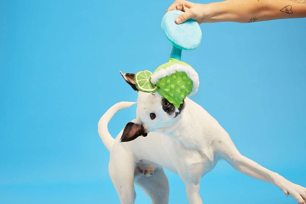 Muy Squeaky Margarita