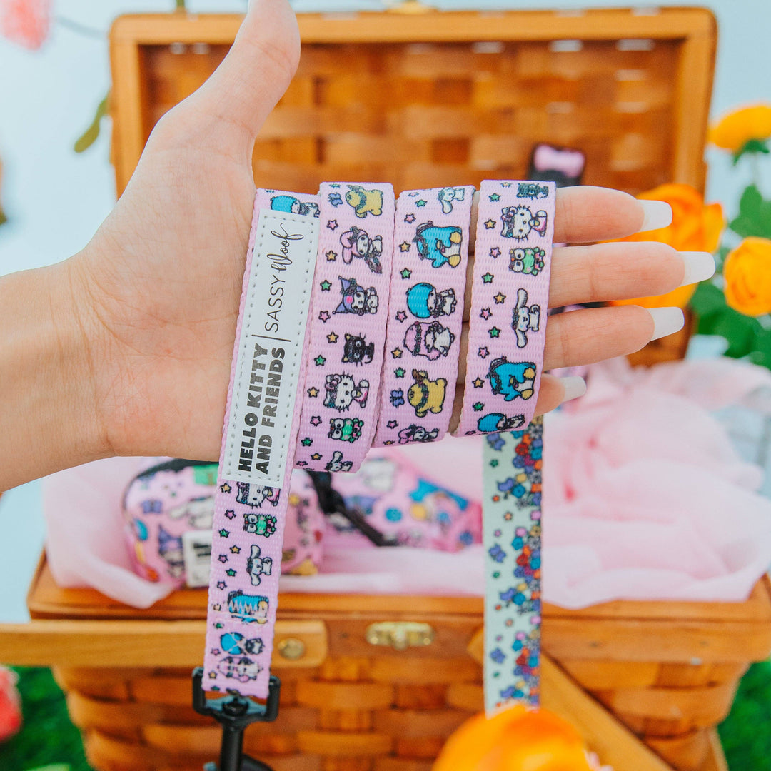 Hello Kitty® &amp; Friends Flower Festival Leash