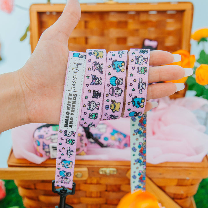 Hello Kitty® &amp; Friends Flower Festival Leash