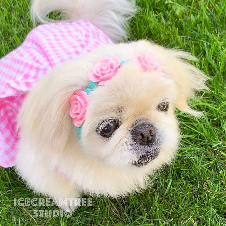Barbie Inspired Outfit Dress Necklace Set - Dog Cat Costume
