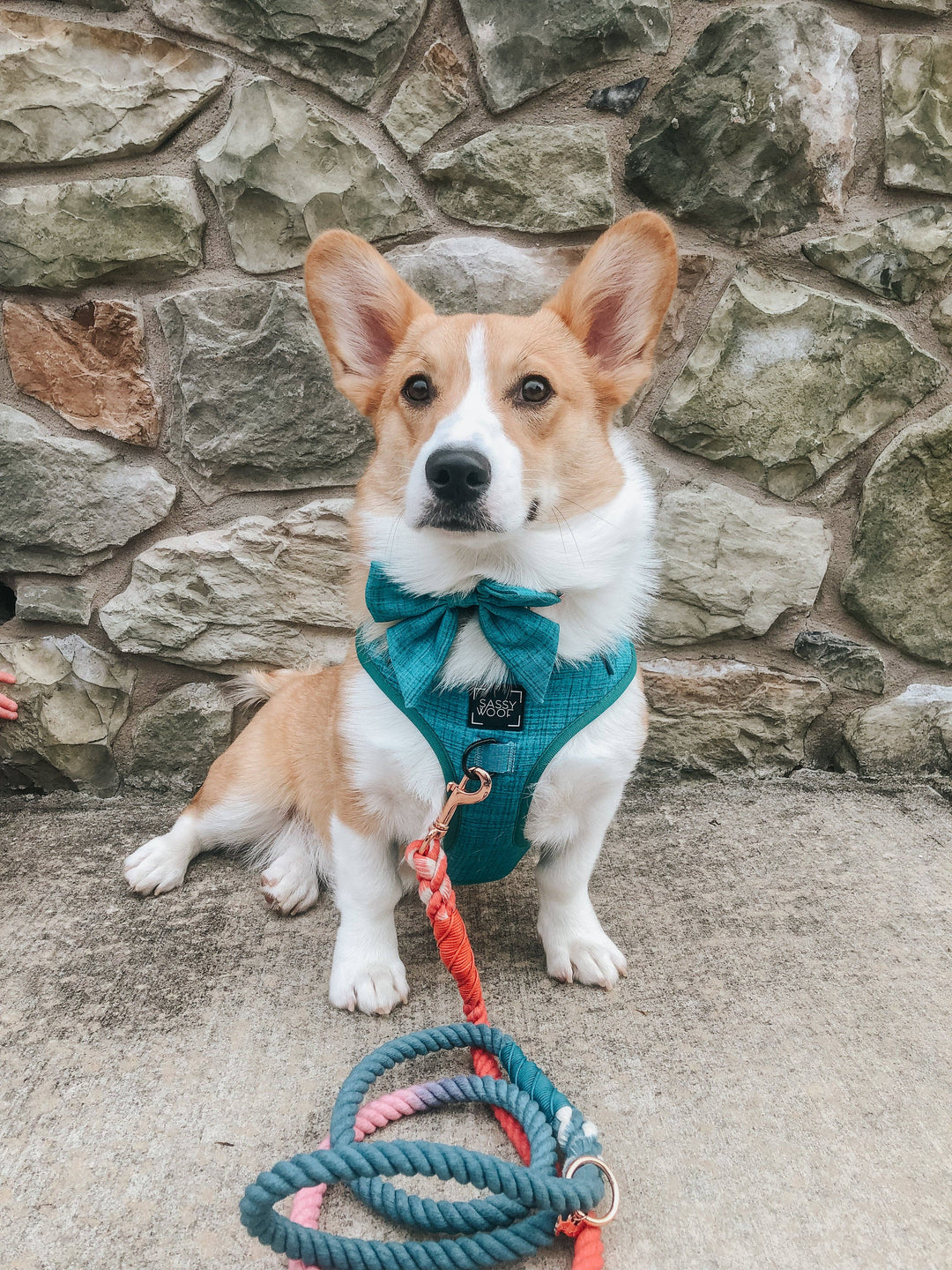Rope Leash Jack &amp; Jill