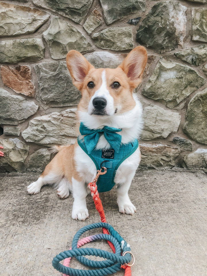 Rope Leash Jack &amp; Jill