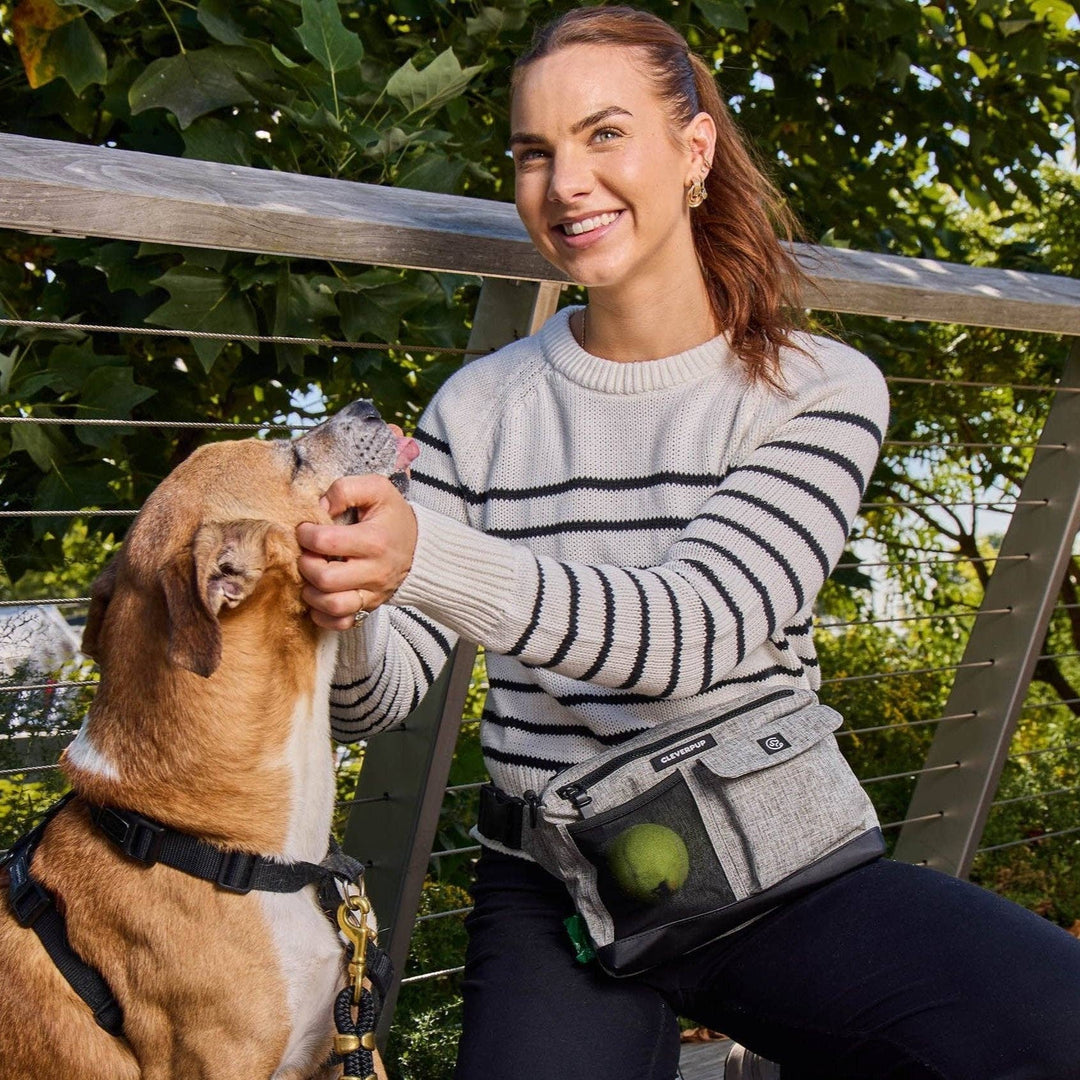 Dog Walk &amp; Train Sling Bag
