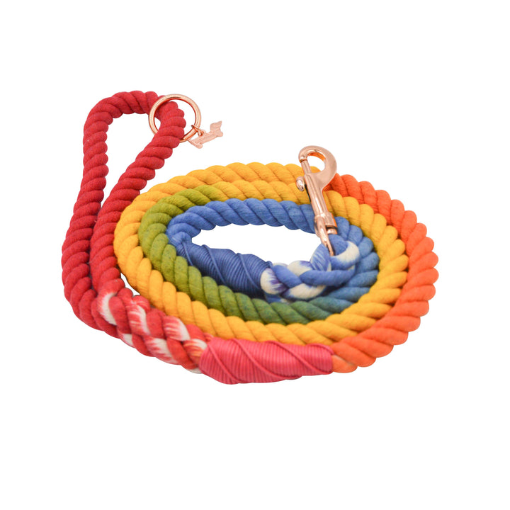 Rope Leash - Taste the Rainbow