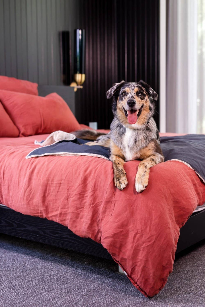 Life Pet Blanket, Myrtle Green L