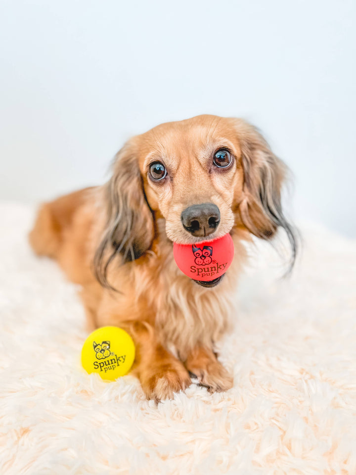 Fetch and Glow Ball