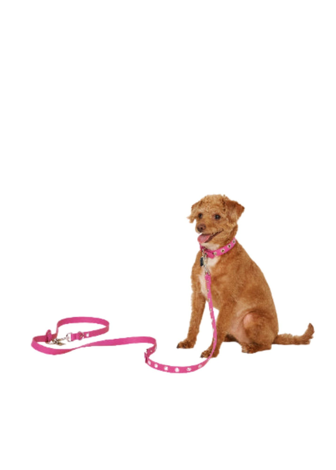 Pink Peony Heart Leash