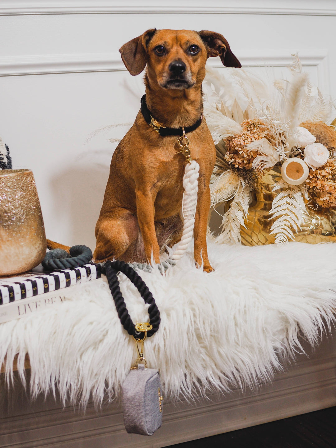 Cairo Black and Grey Rope Leash