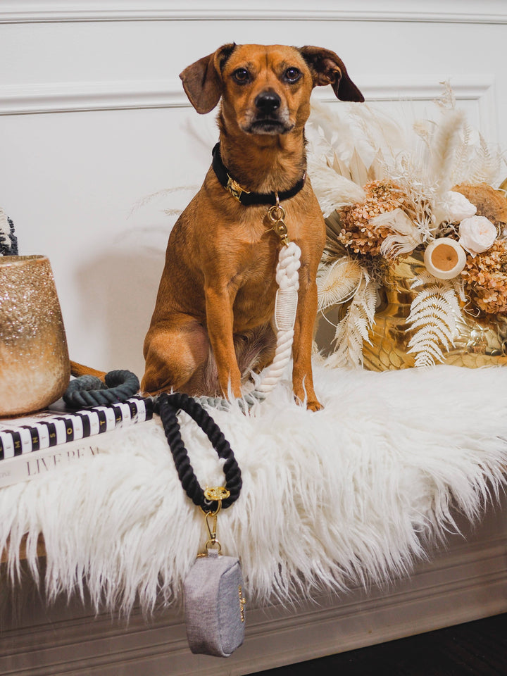 Cairo Black and Grey Rope Leash