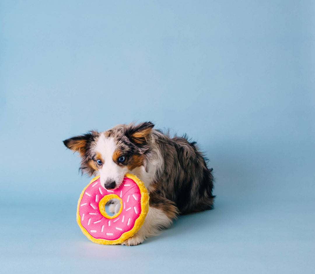 Junior Donutz Strawberry Large Dog Toy