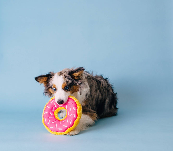Junior Donutz Strawberry Large Dog Toy