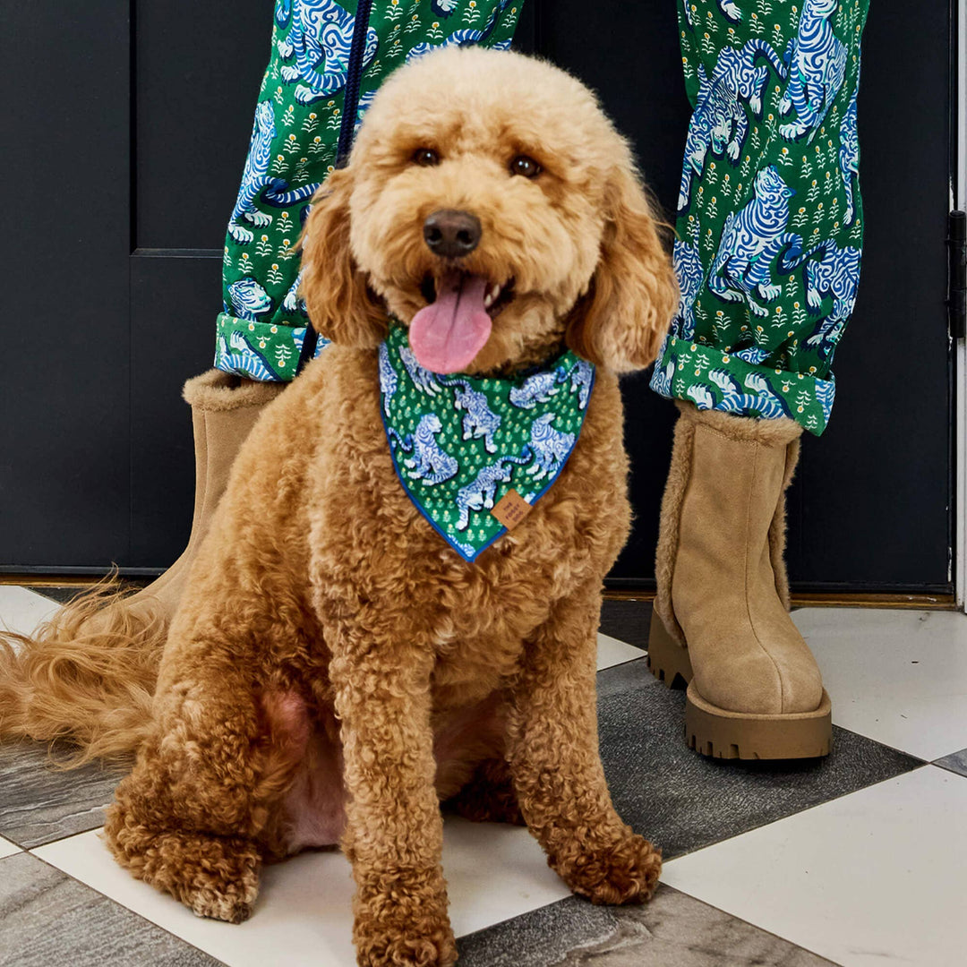 Printfresh x TFD Tiger Queen Dog Bandana