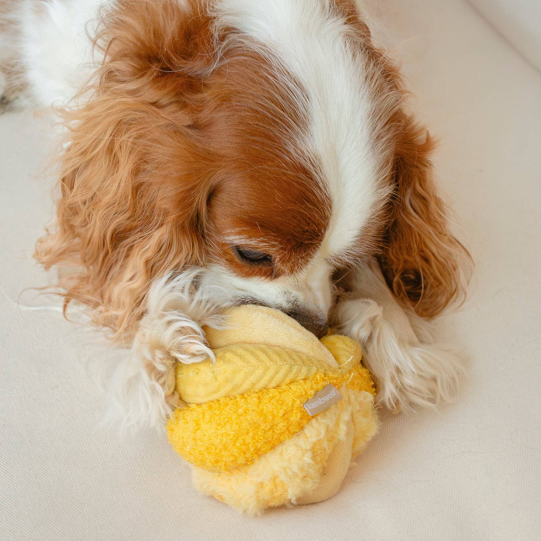 Toto Petite Silent Snuffle Ball