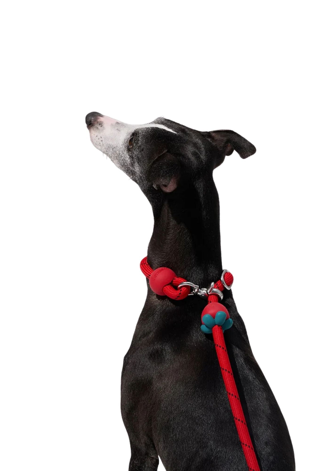 Strawberry Connect Hands-Free Rope Leash