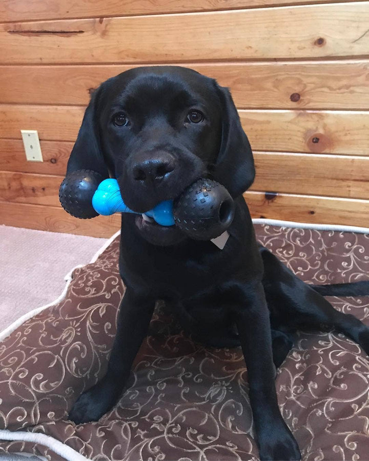 Fetch &amp; Chew Bone - Made in the USA