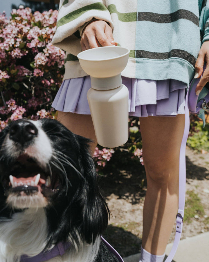 Dog Travel Water Bottle - 20oz Flip