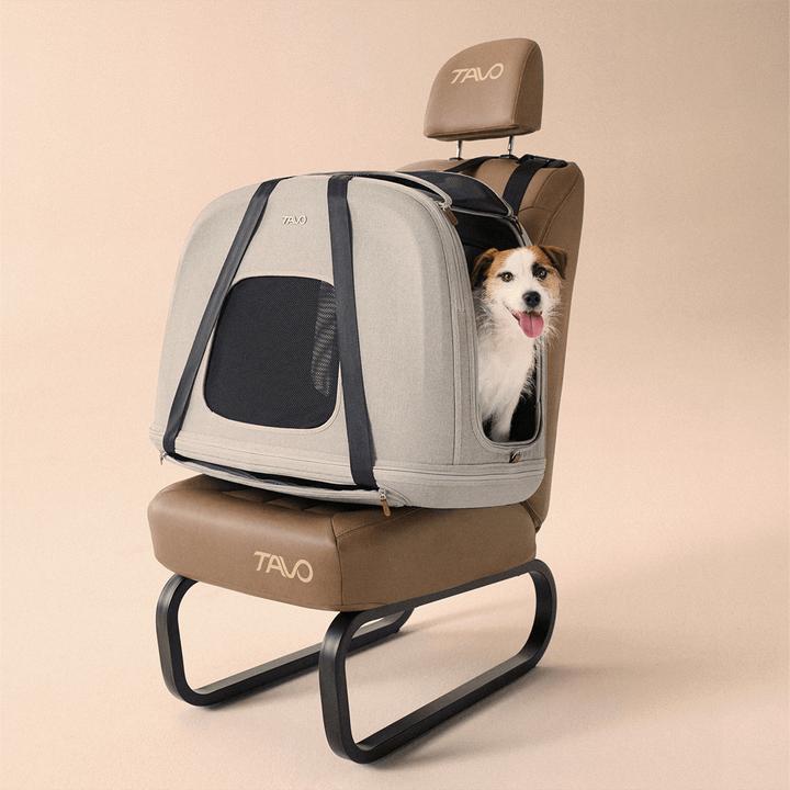 Crispin Pet Travel Crate Medium
