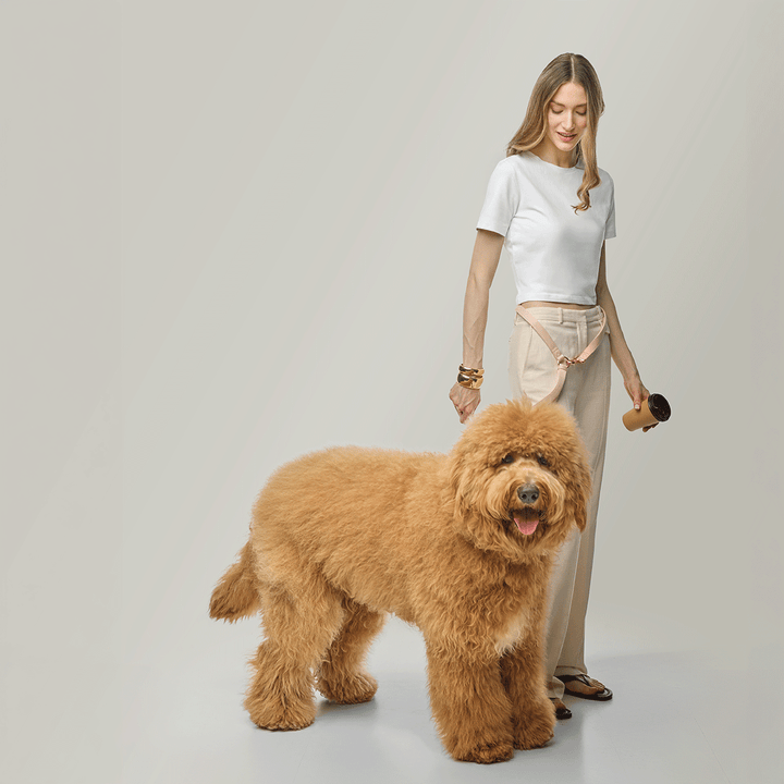 Metro Hands Free Leash – Blush