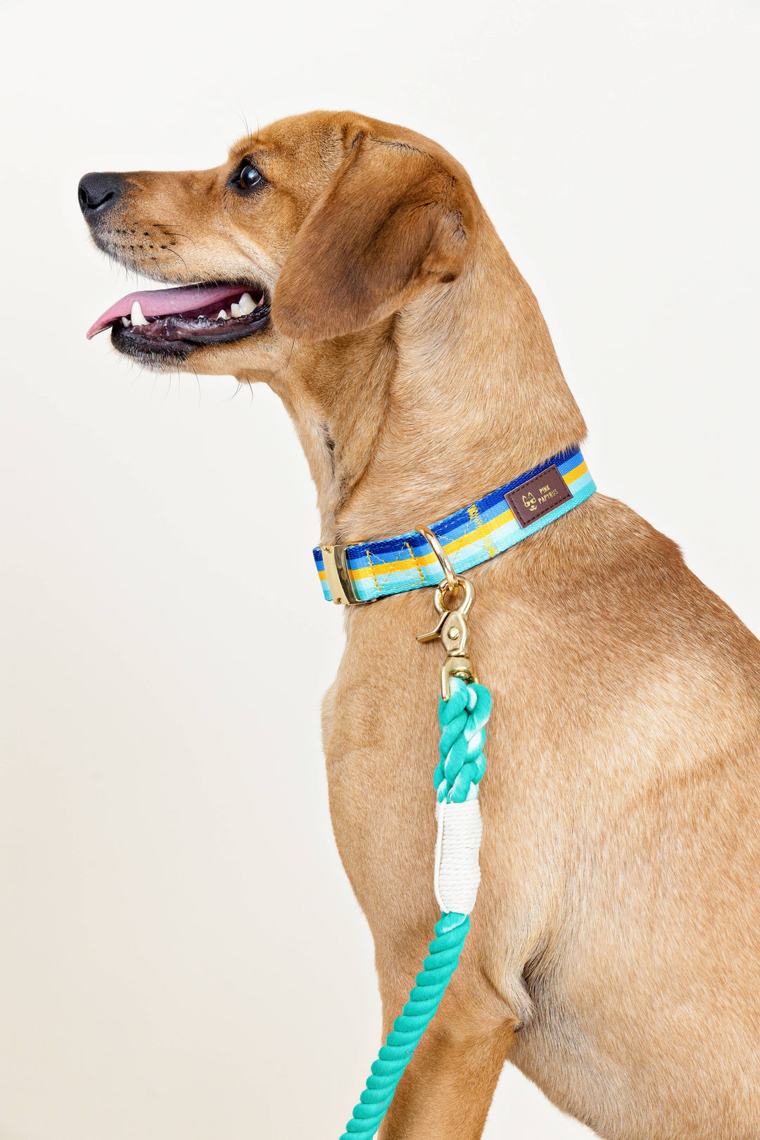 Ariel Green Rope Leash