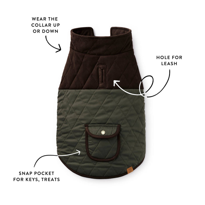 Olive Reversible Dog Jacket