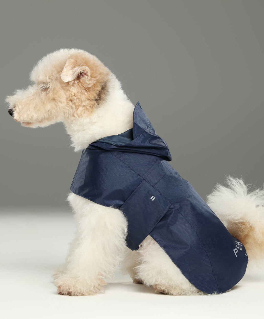 Capsule Raincoat - Blue