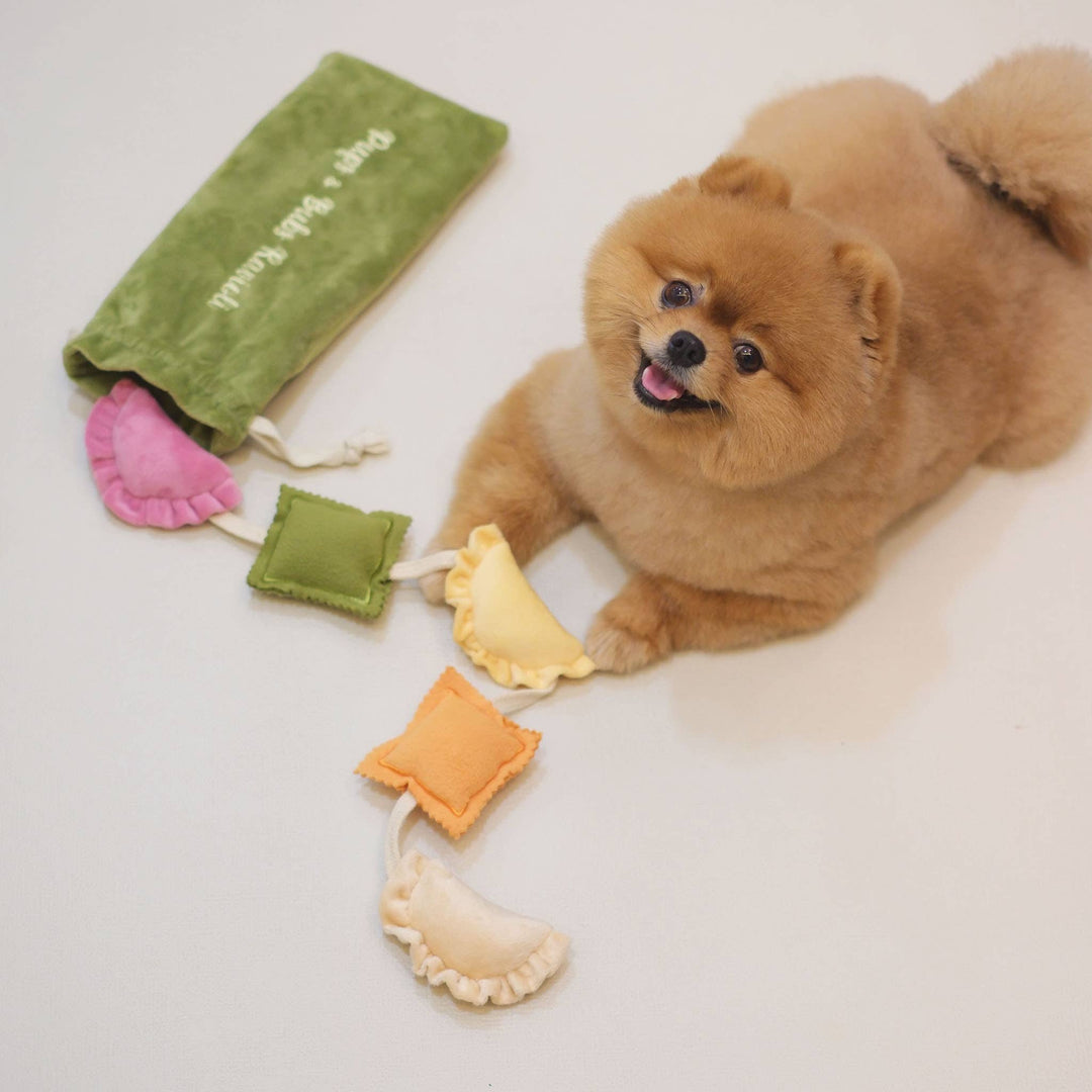 Ravioli Nosework Enrichment Toy | Squeaker | Crinkle