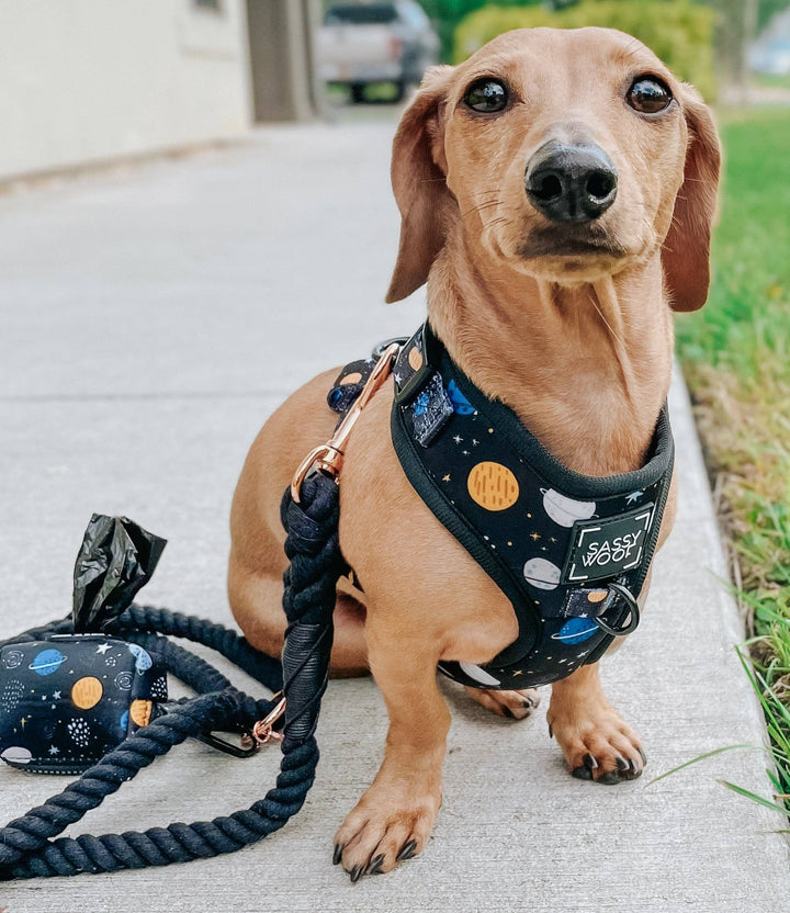 Rope Leash - Noir