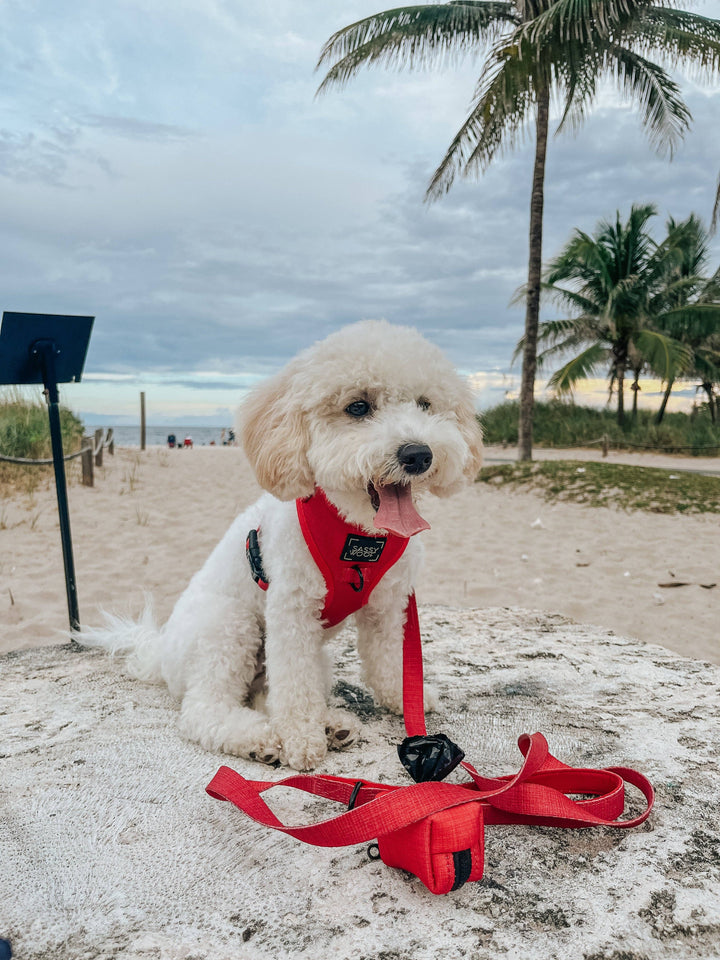 Dog Waste Bag Holder Merlot