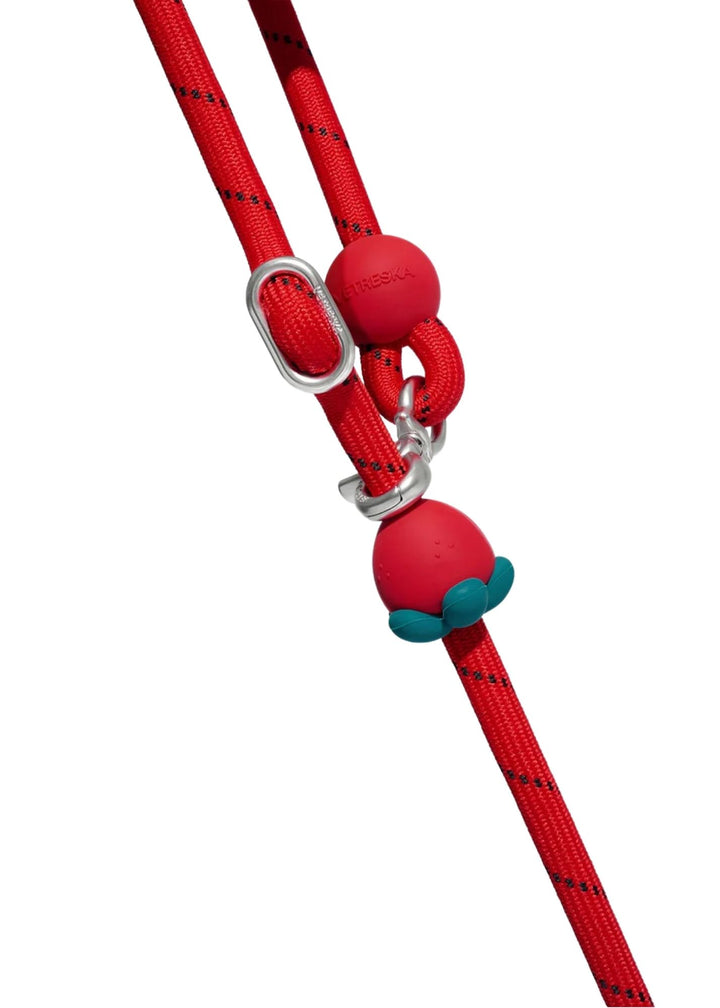 Strawberry Connect Hands-Free Rope Leash