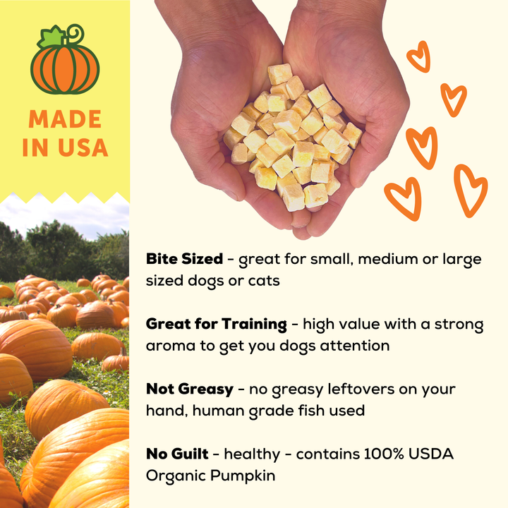Organic Pumpkin