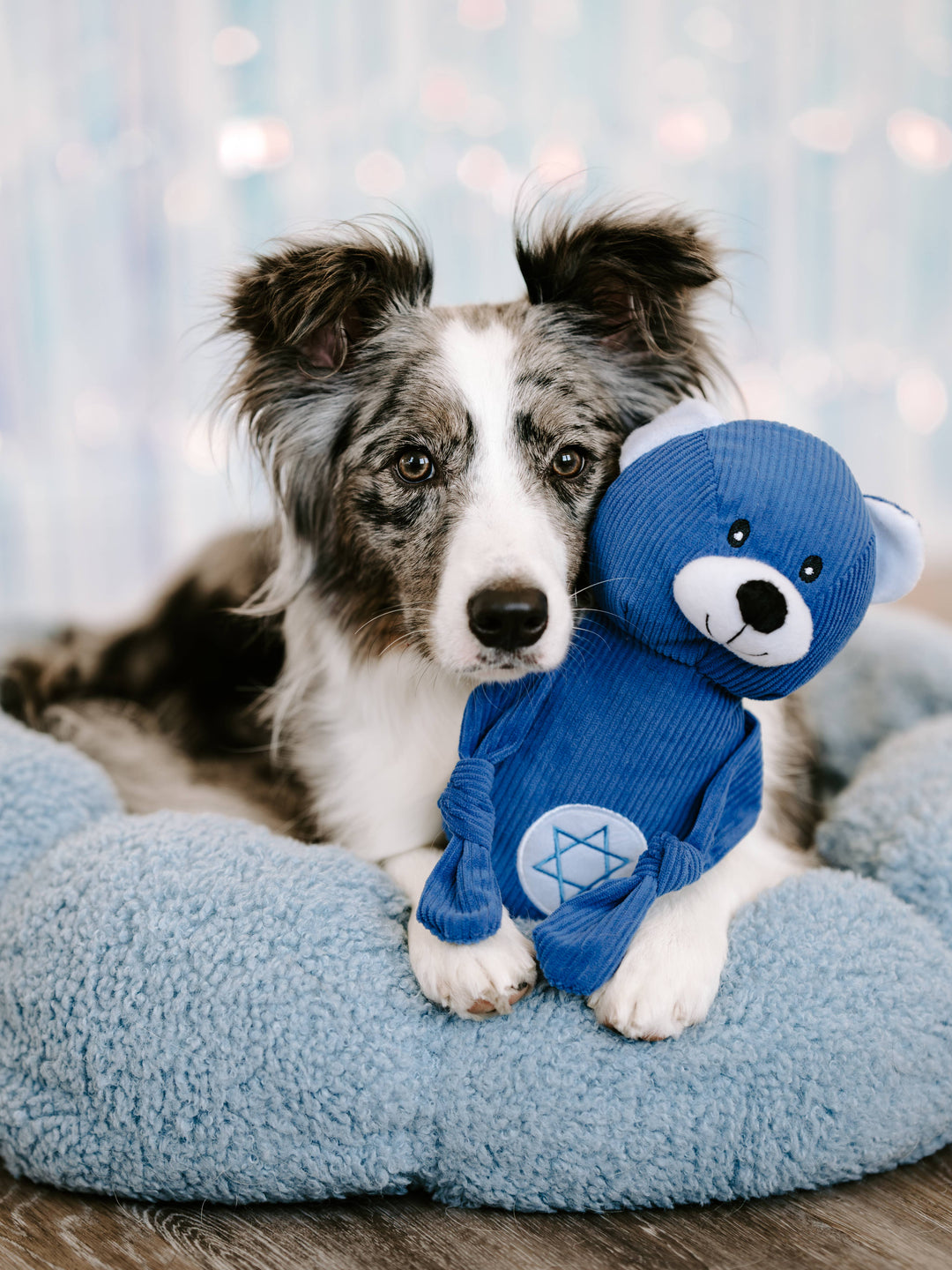 Hanukkah Corduroy Cuddlerz - Bear - Dog Toy