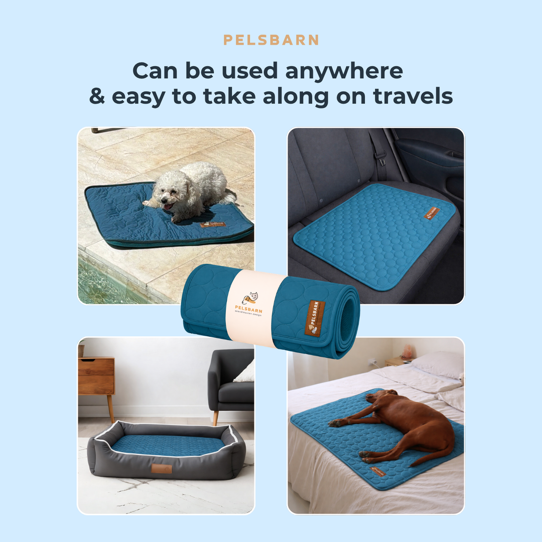 Natural Cooling Mat - Pelsbarn helps shelter dogs!