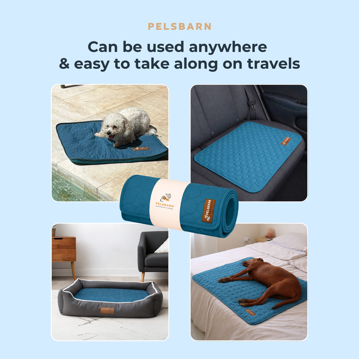 Natural Cooling Mat - Pelsbarn helps shelter dogs!