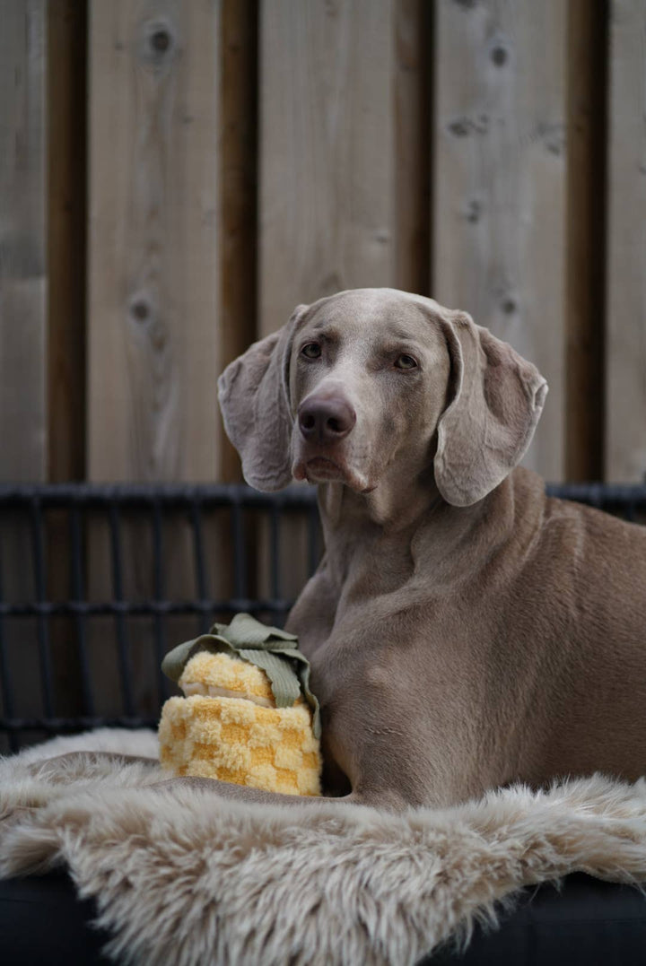 Pineapple Enrichment Dog Toy