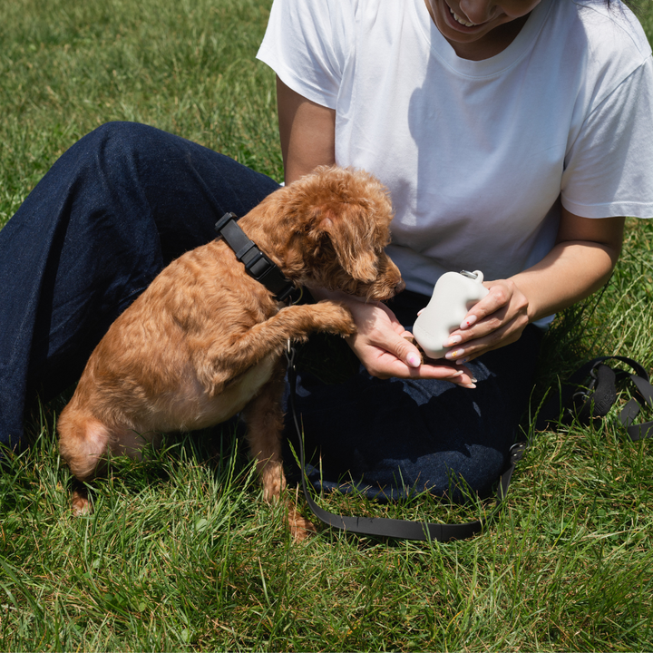 Squeeze Silicone Dog Treat Pouch Dispenser