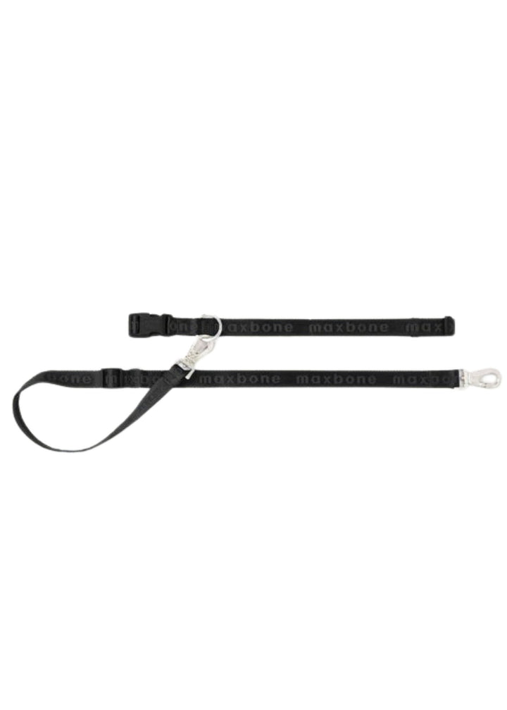 Hands-Free Leash for Dogs
