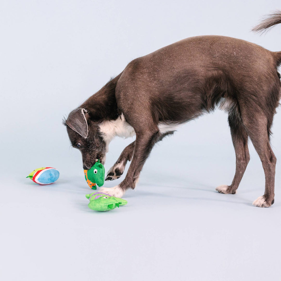 Rawrin Summer 3pc Small Dog Toy Set