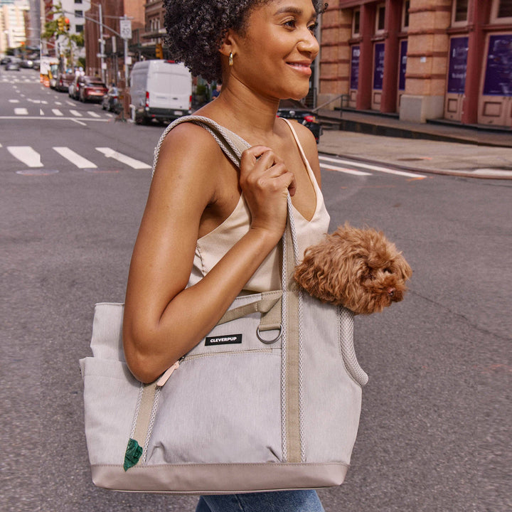 Transit Tote Dog Carrier