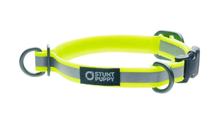 Collar Go Dog Glo Dry