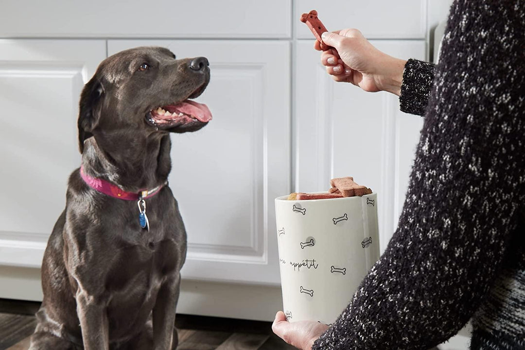 Pearhead Bone Appetite Treat Jar