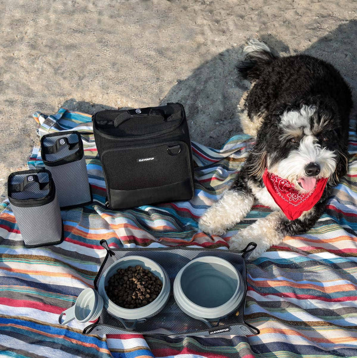 Bistro Box Dog Food Travel Kit