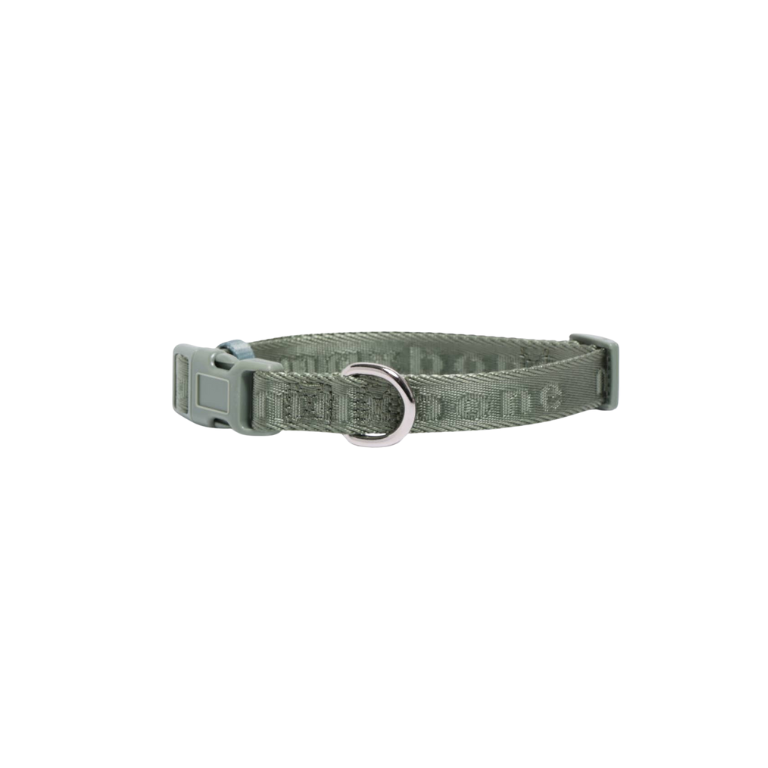 Signature Collar for Dogs