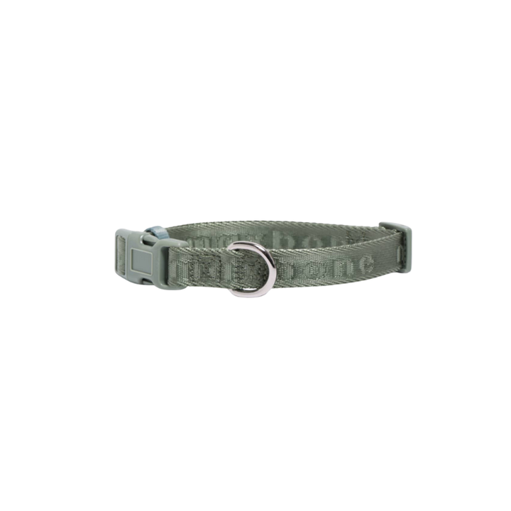 Signature Collar for Dogs