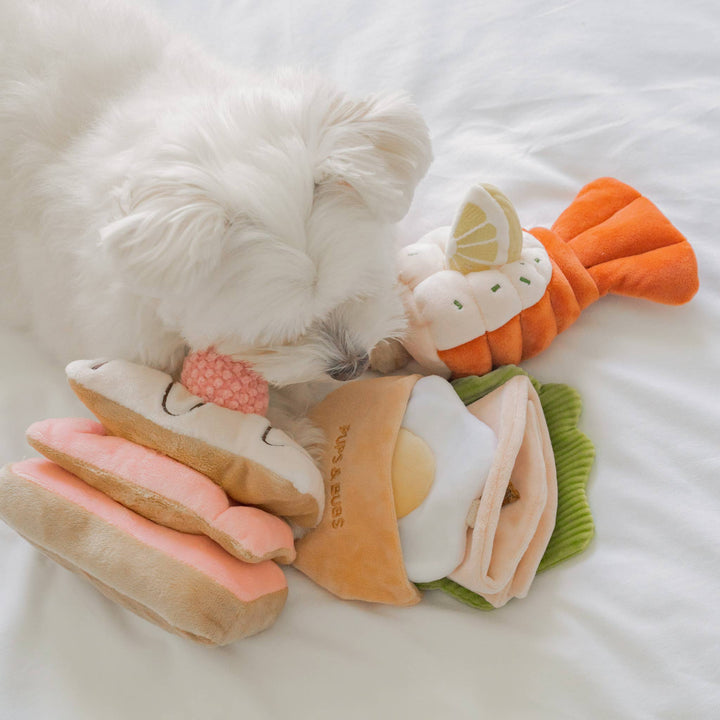 Grilled Lobster Nosework Toy