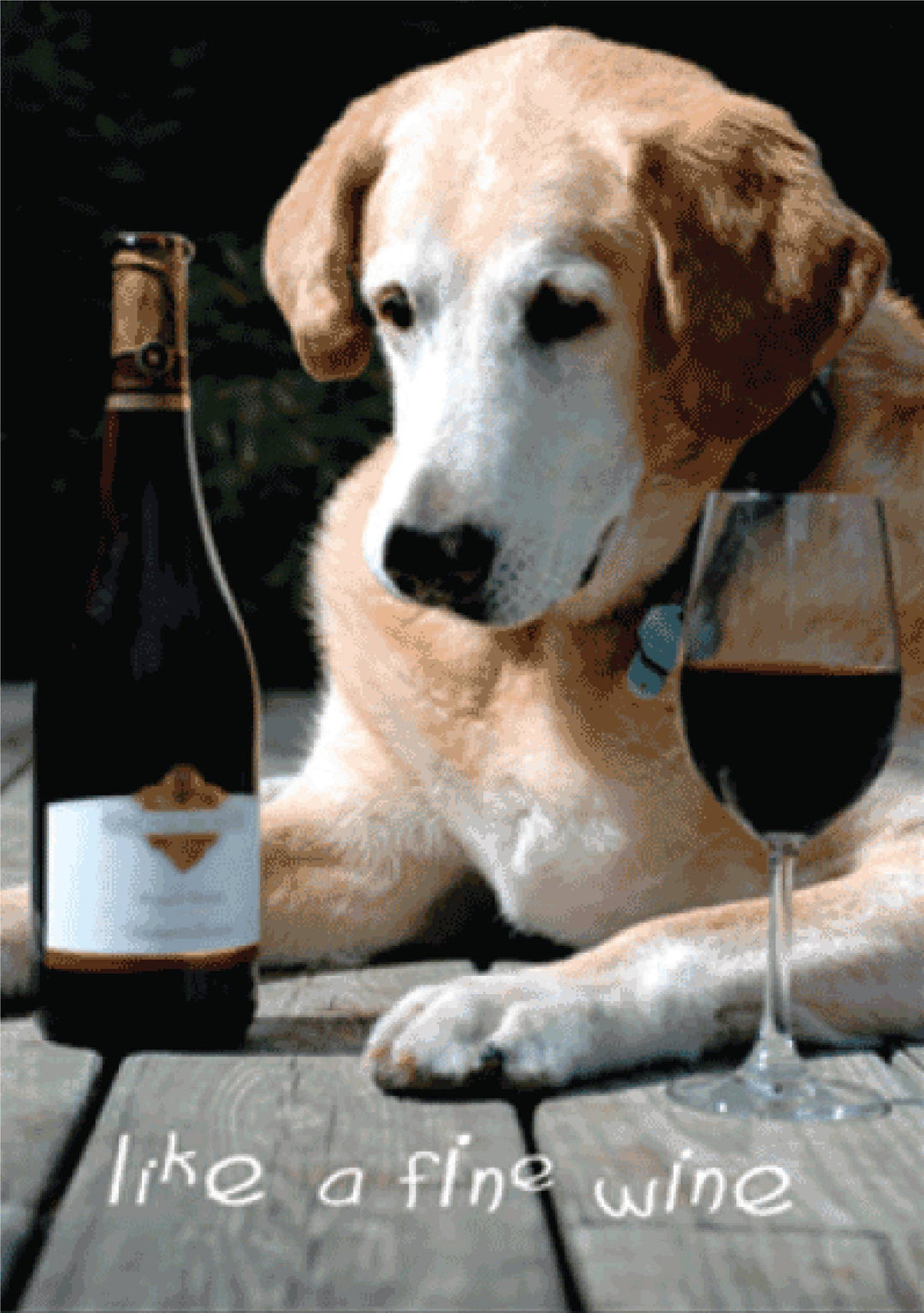 Birthday - Like A Fine Wine