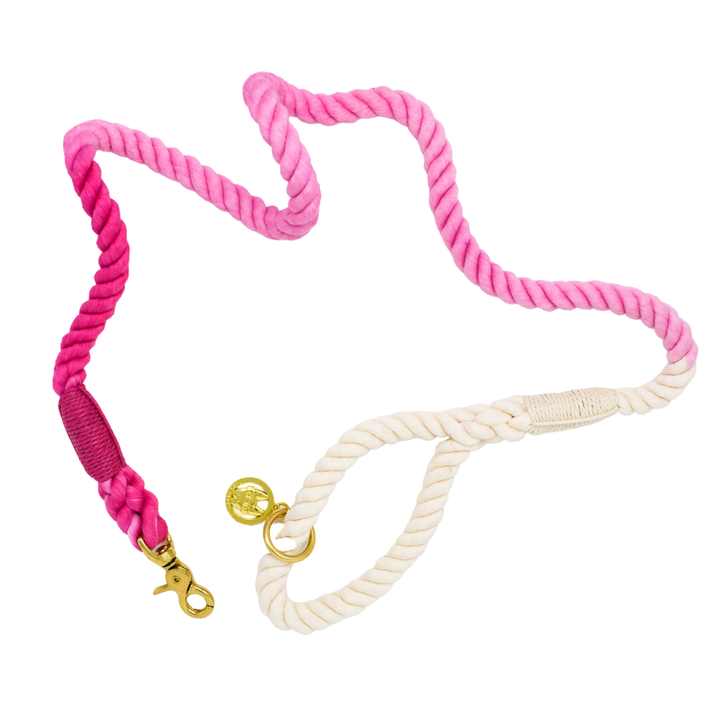 Maggie Pink Ombre Rope Dog Leash
