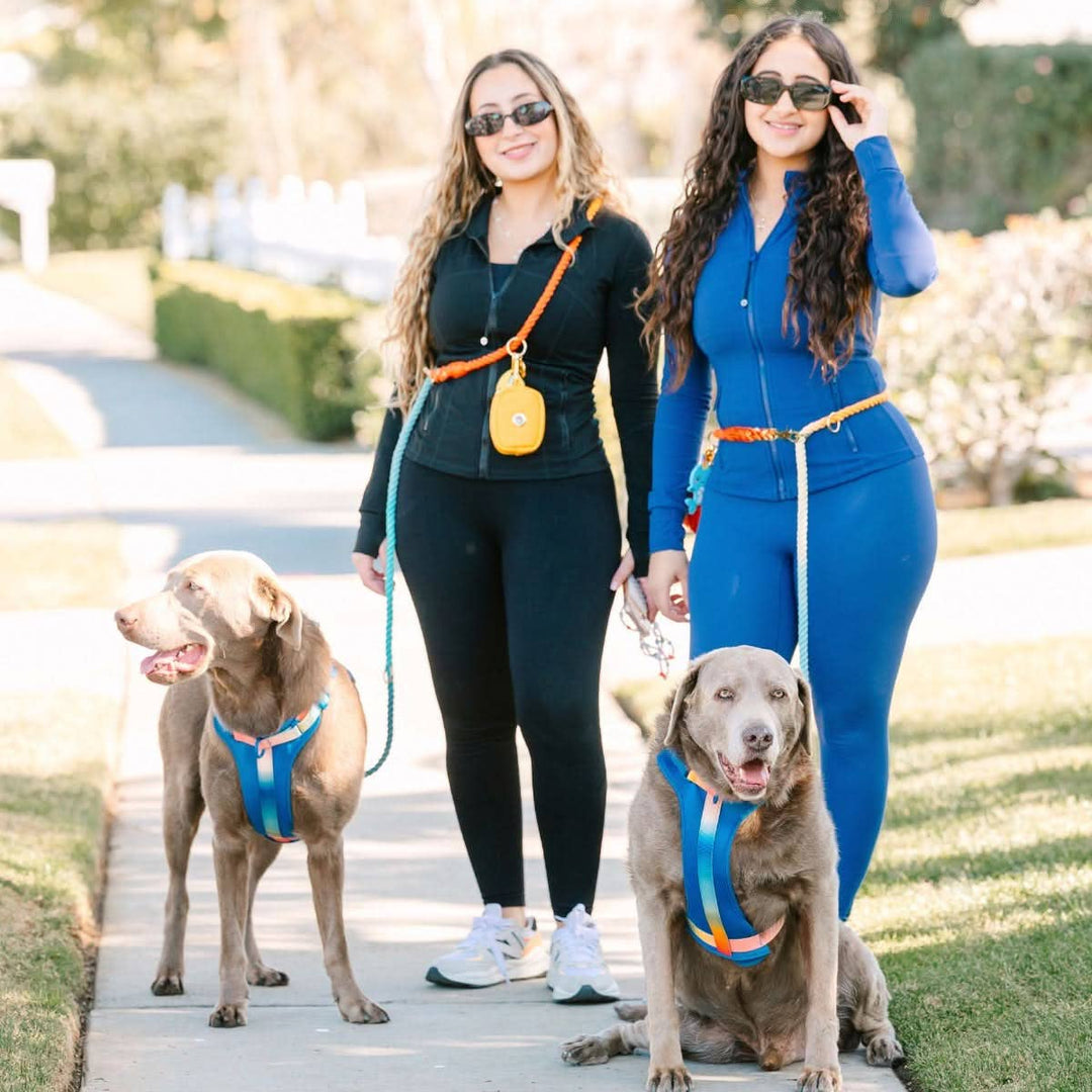 Beau Rainbow Hands-Free Leash