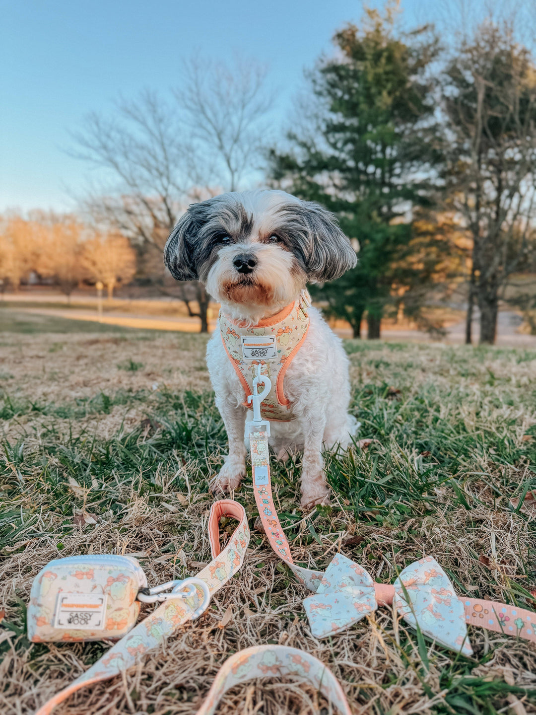 Pompompurin™ Leash