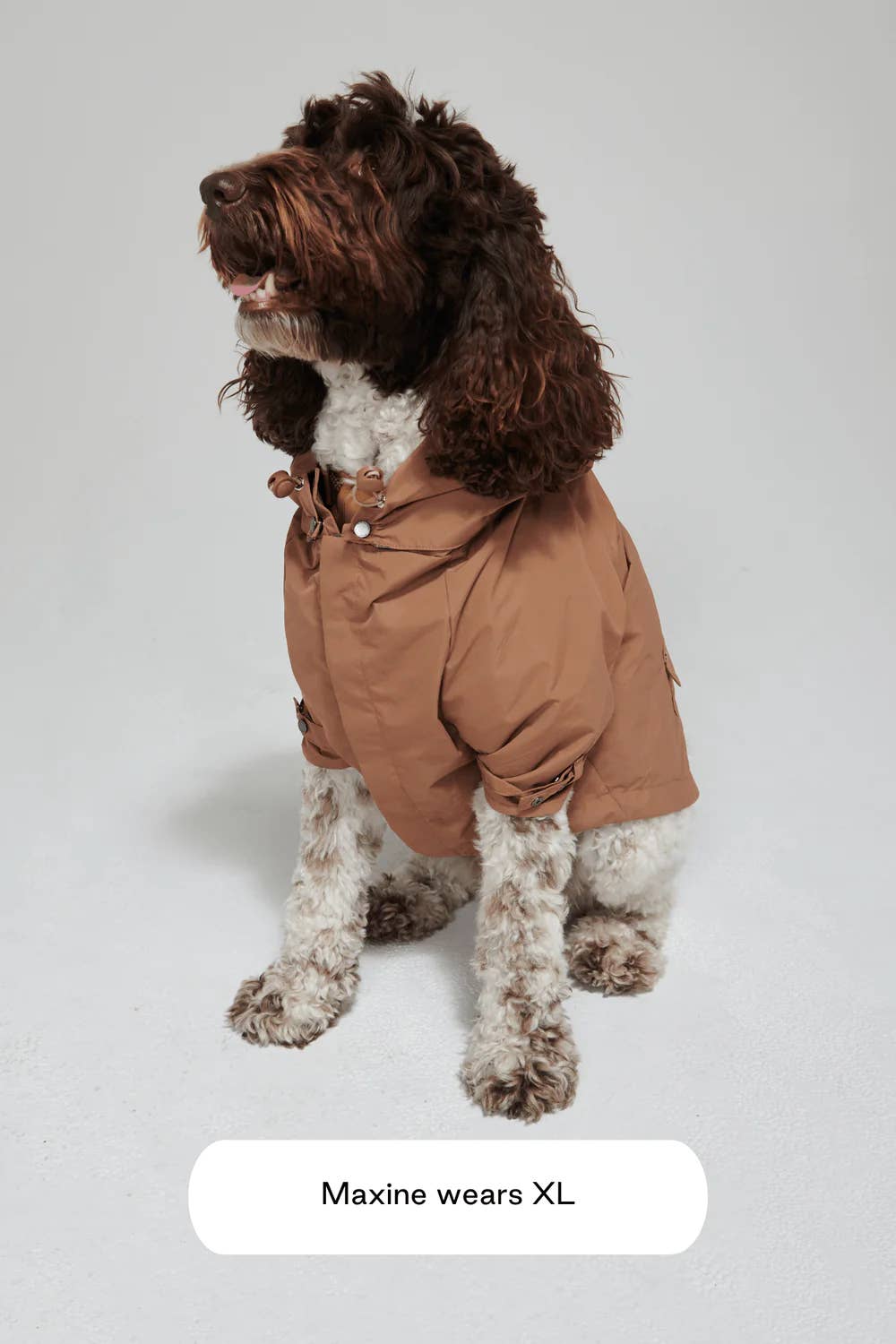Talon Raincoat for Dogs